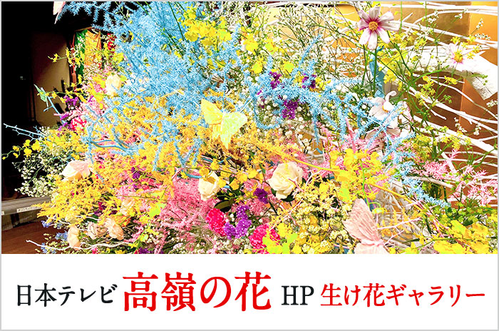 日本テレビ 高嶺の花HP 生け花ギャラリー
